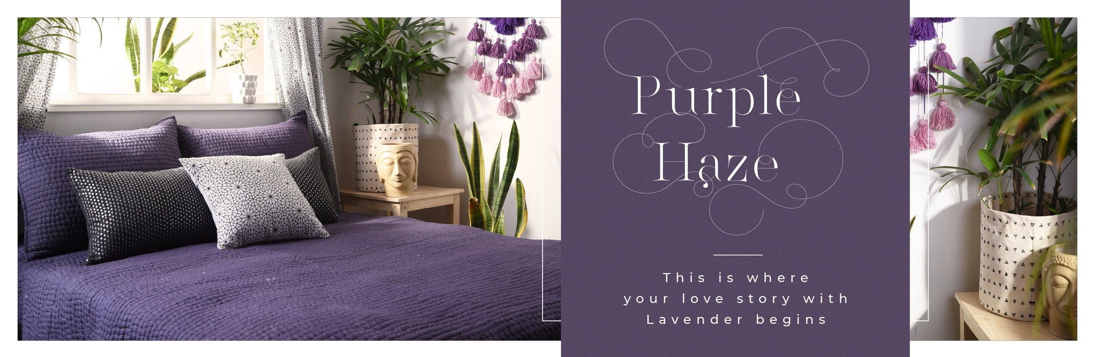 Purple Haze
