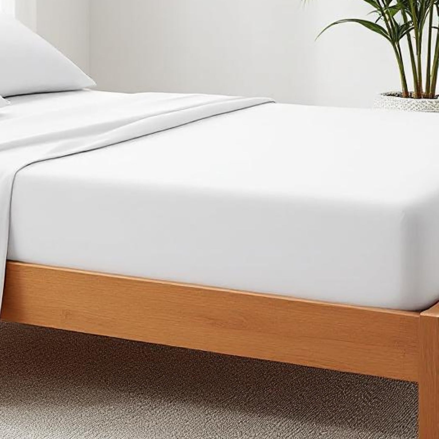 600TC, fitted sheet with pillow case, white pure luxury cotton