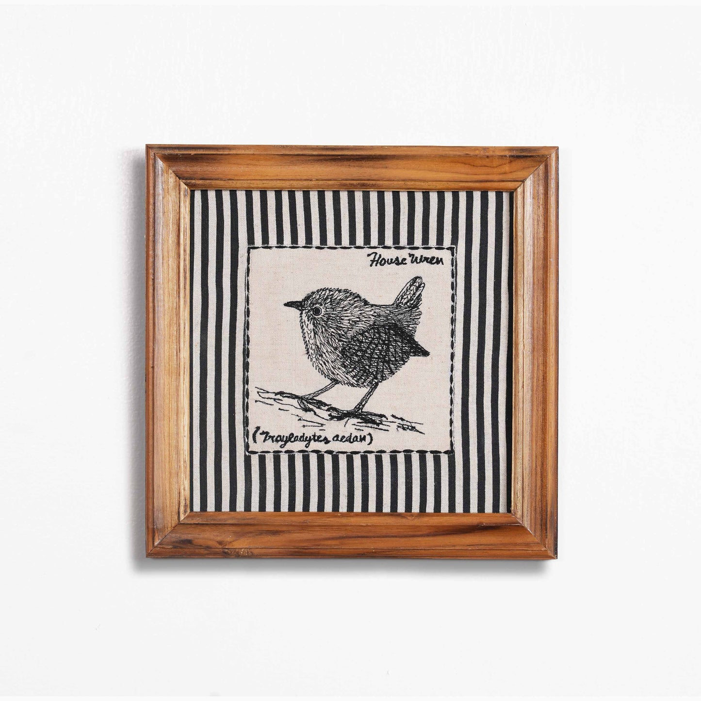 BOTANICAL - HOUSE WREN wall art with teak wooden frame, 12X12 inches
