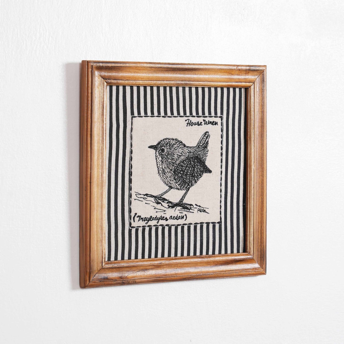 BOTANICAL - HOUSE WREN wall art with teak wooden frame, 12X12 inches