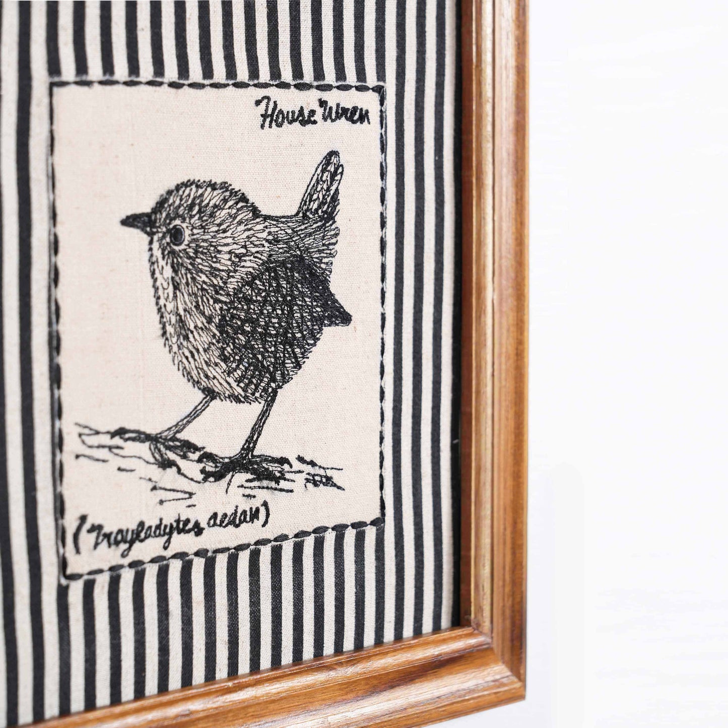BOTANICAL - HOUSE WREN wall art with teak wooden frame, 12X12 inches