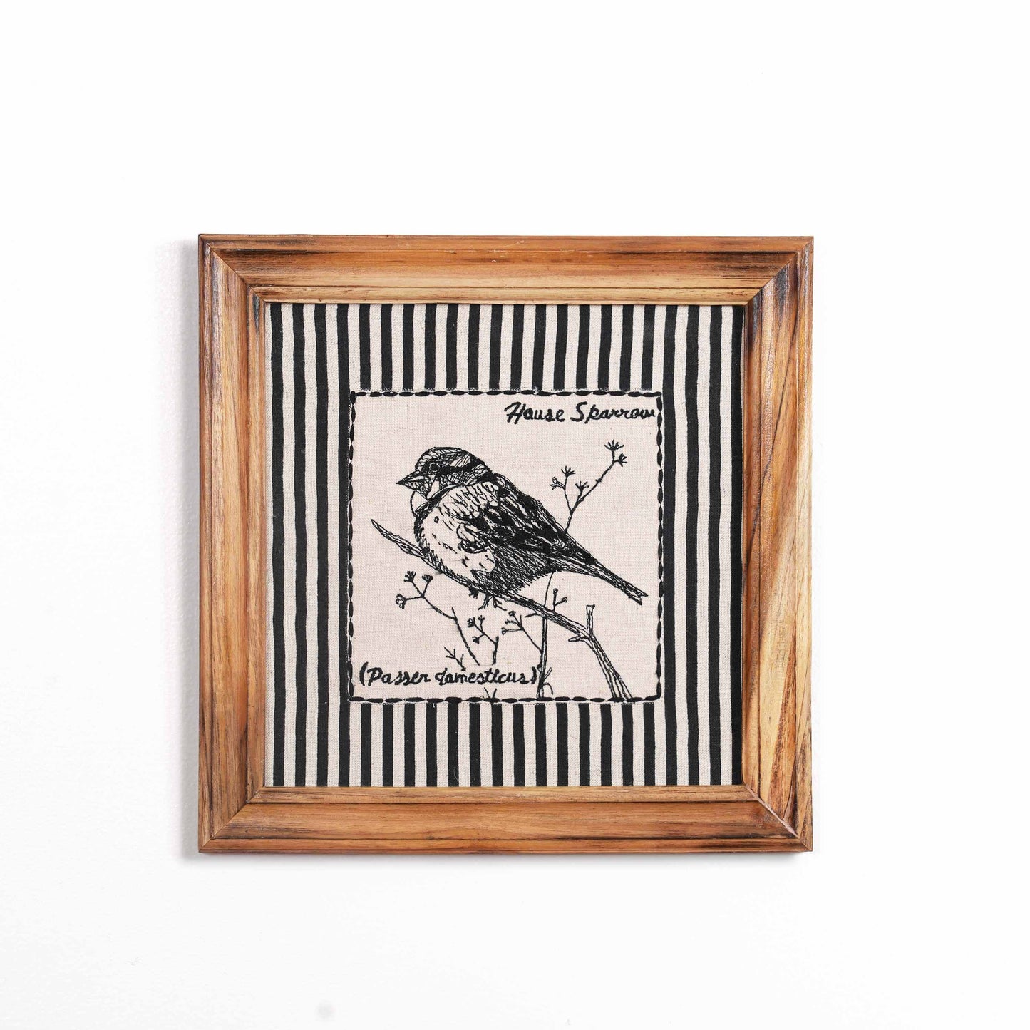 BOTANICAL - HOUSE SPARROW wall art with teak wooden frame, 12X12 inches