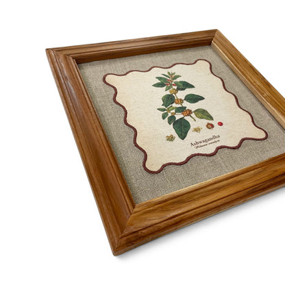 BOTANICAL HERB wall art, Ashwagandha motif with wooden frame, 12X12 inches