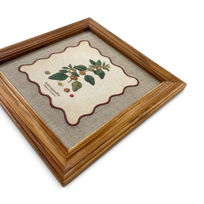 BOTANICAL HERB wall art, Ashwagandha motif with wooden frame, 12X12 inches