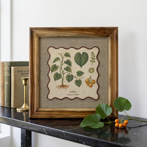 BOTANICAL HERB wall art, Giloy motif with wooden frame, 12X12 inches