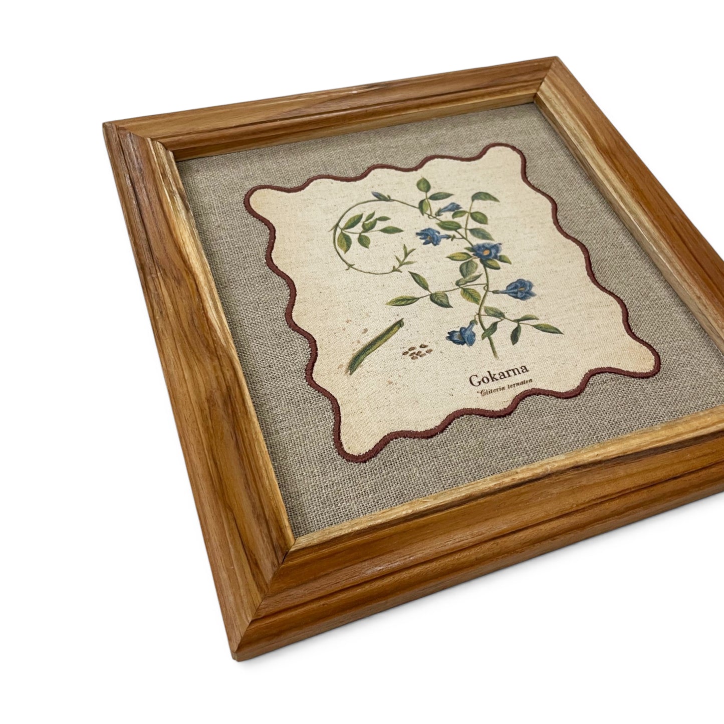 BOTANICAL HERB wall art, Gokarna motif with wooden frame, 12X12 inches