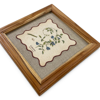 BOTANICAL HERB wall art, Gokarna motif with wooden frame, 12X12 inches