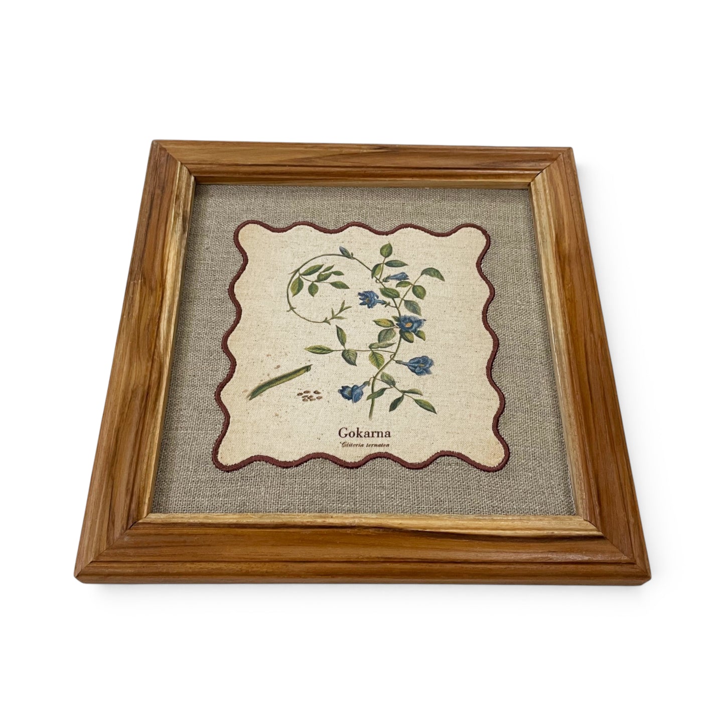 BOTANICAL HERB wall art, Gokarna motif with wooden frame, 12X12 inches
