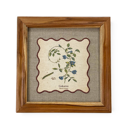 BOTANICAL HERB wall art, Gokarna motif with wooden frame, 12X12 inches