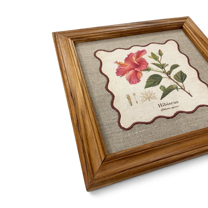 BOTANICAL HERB wall art, Hibiscus motif with wooden frame, 12X12 inches
