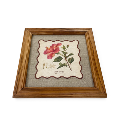 BOTANICAL HERB wall art, Hibiscus motif with wooden frame, 12X12 inches