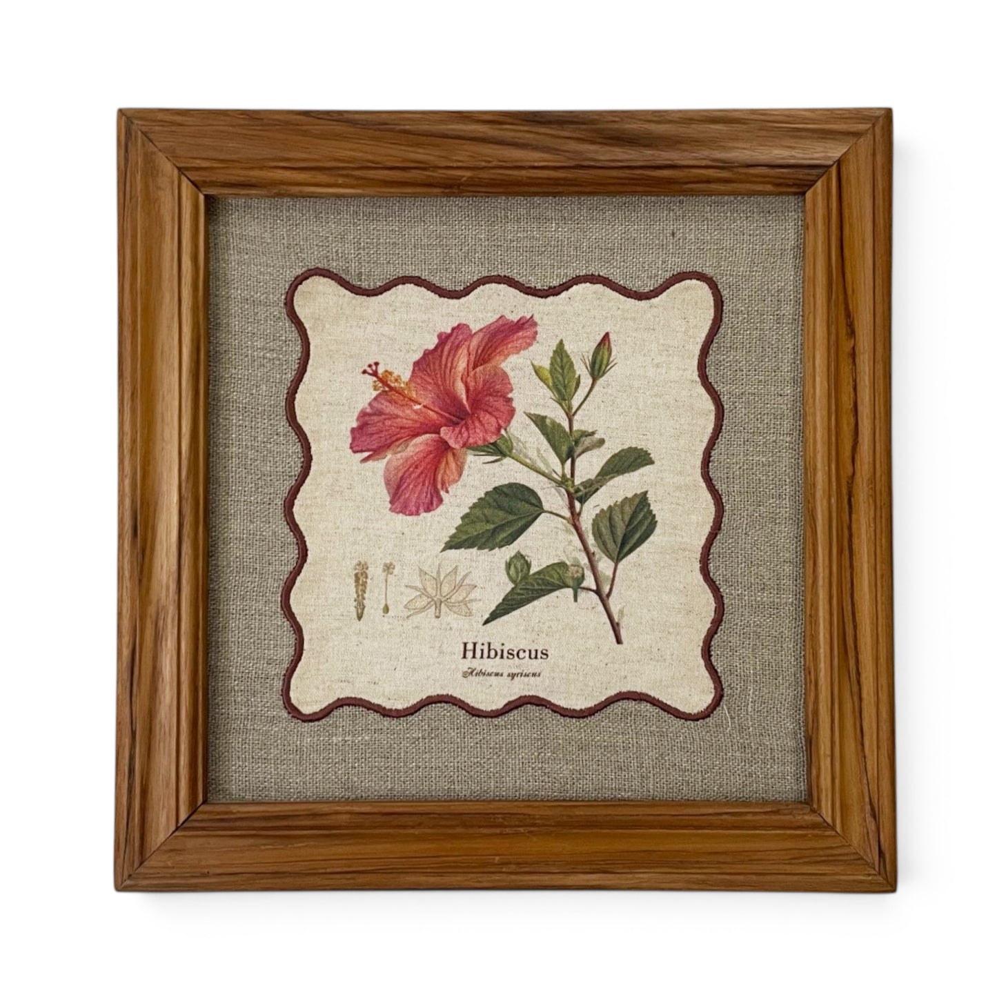 BOTANICAL HERB wall art, Hibiscus motif with wooden frame, 12X12 inches