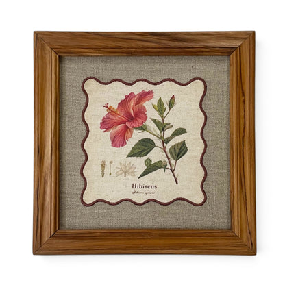 BOTANICAL HERB wall art, Hibiscus motif with wooden frame, 12X12 inches