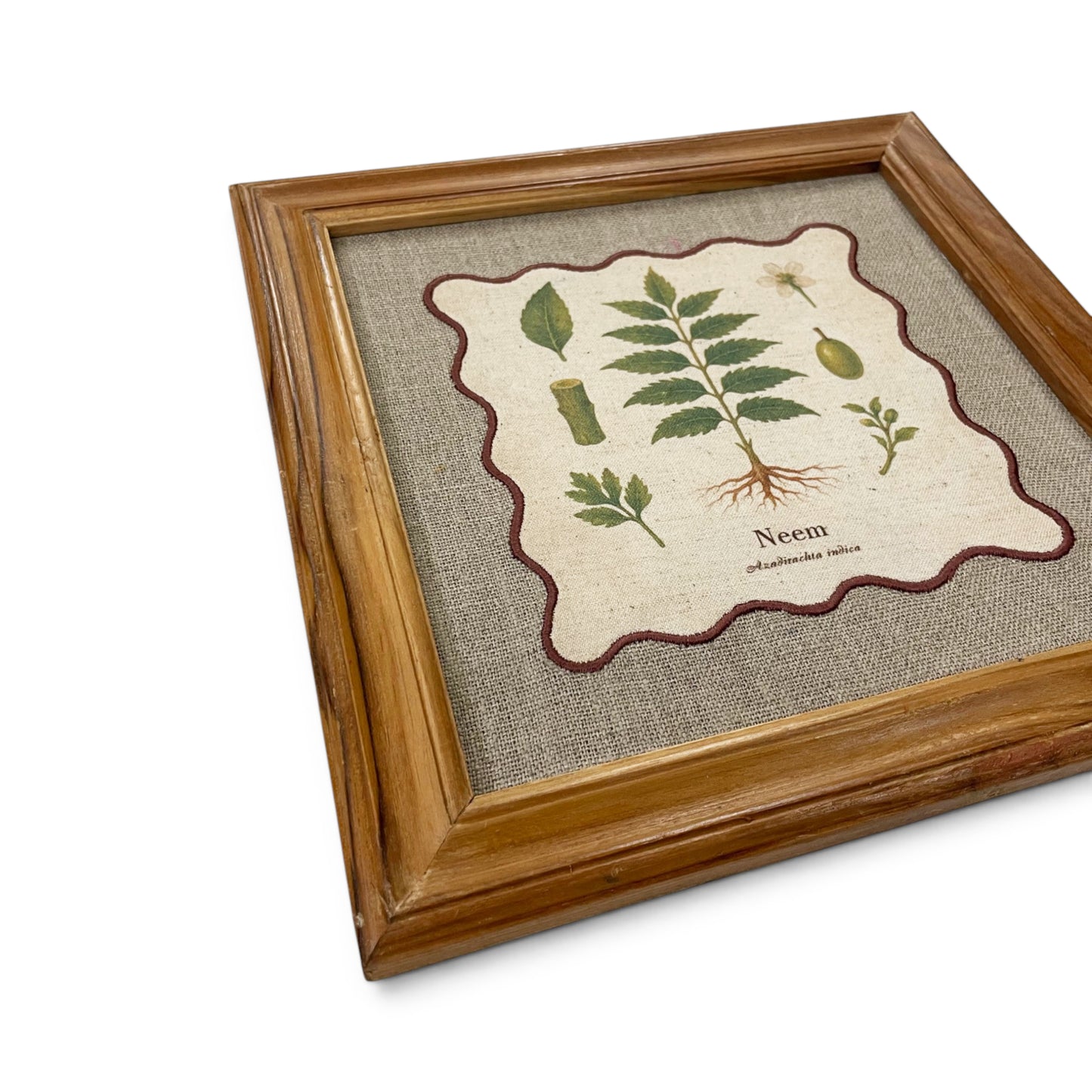 BOTANICAL HERB wall art, Neem motif with wooden frame, 12X12 inches