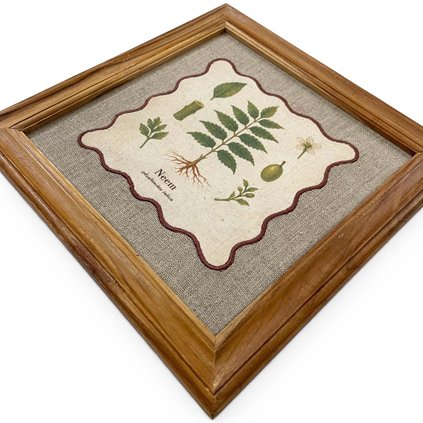 BOTANICAL HERB wall art, Neem motif with wooden frame, 12X12 inches