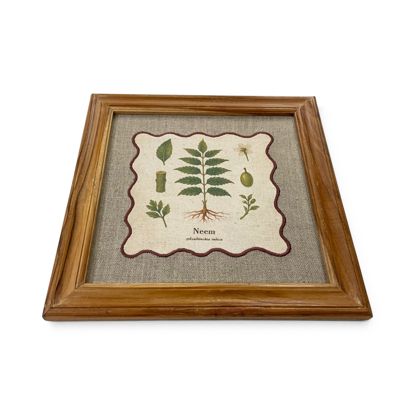 BOTANICAL HERB wall art, Neem motif with wooden frame, 12X12 inches