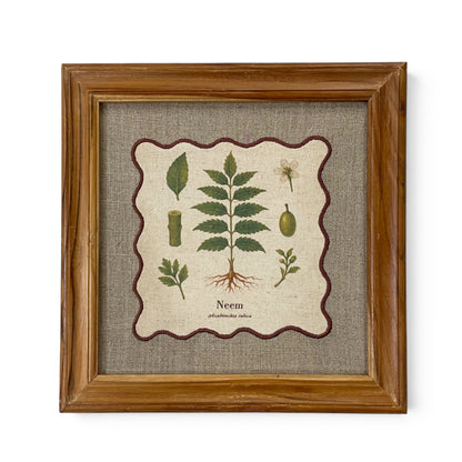 BOTANICAL HERB wall art, Neem motif with wooden frame, 12X12 inches