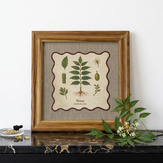 BOTANICAL HERB wall art, Neem motif with wooden frame, 12X12 inches