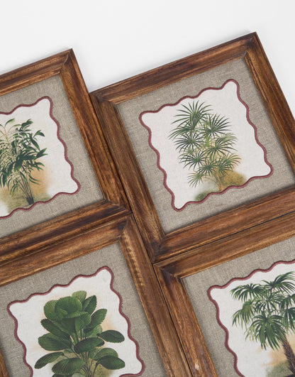 BOTANICAL - PALM 6 wall art with wooden frame, 12X12 inches