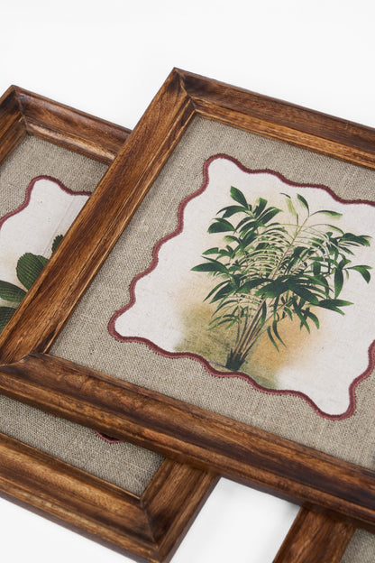 BOTANICAL - PALM -4 wall art with wooden frame, 12X12 inches