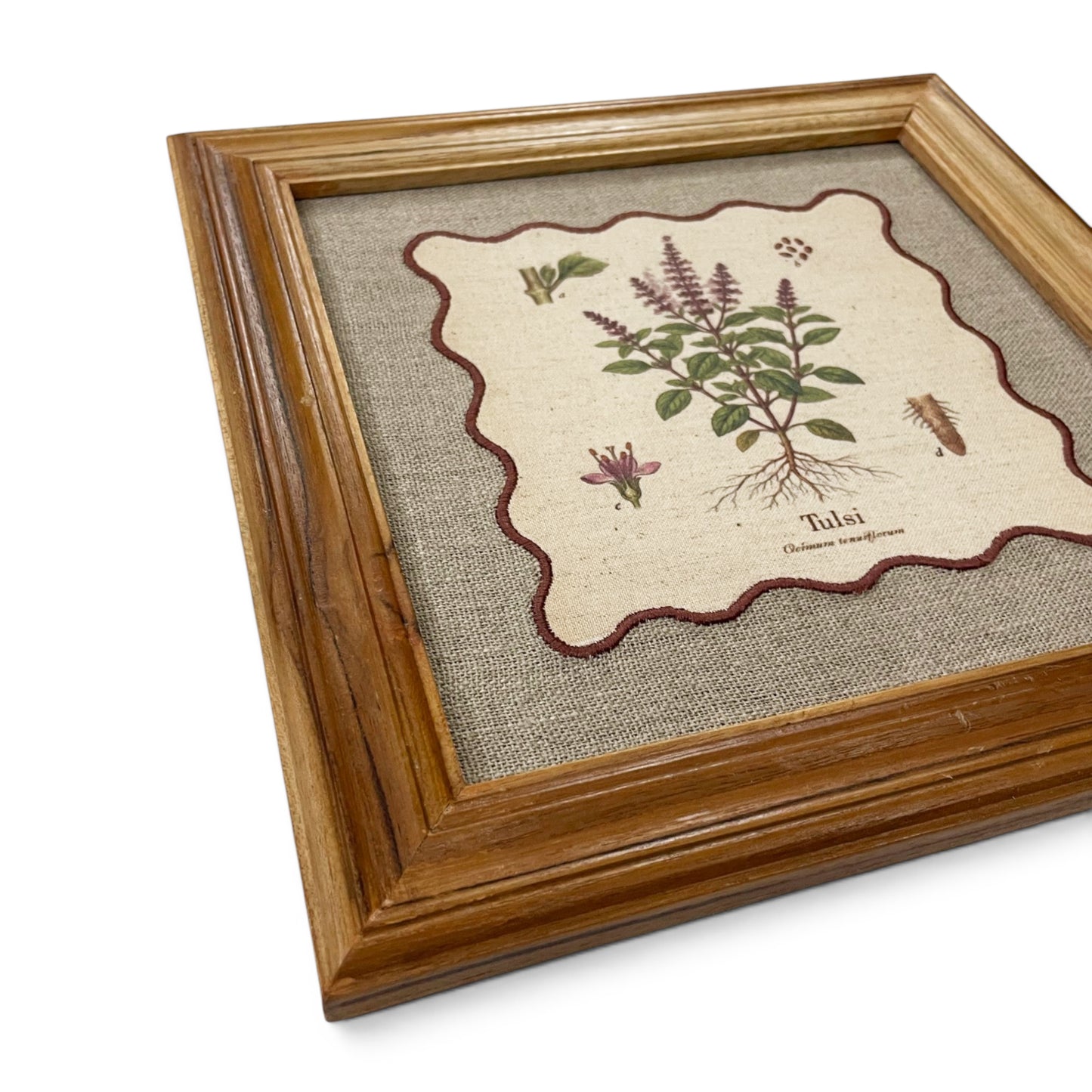 BOTANICAL HERB wall art, Tulsi motif with wooden frame, 12X12 inches