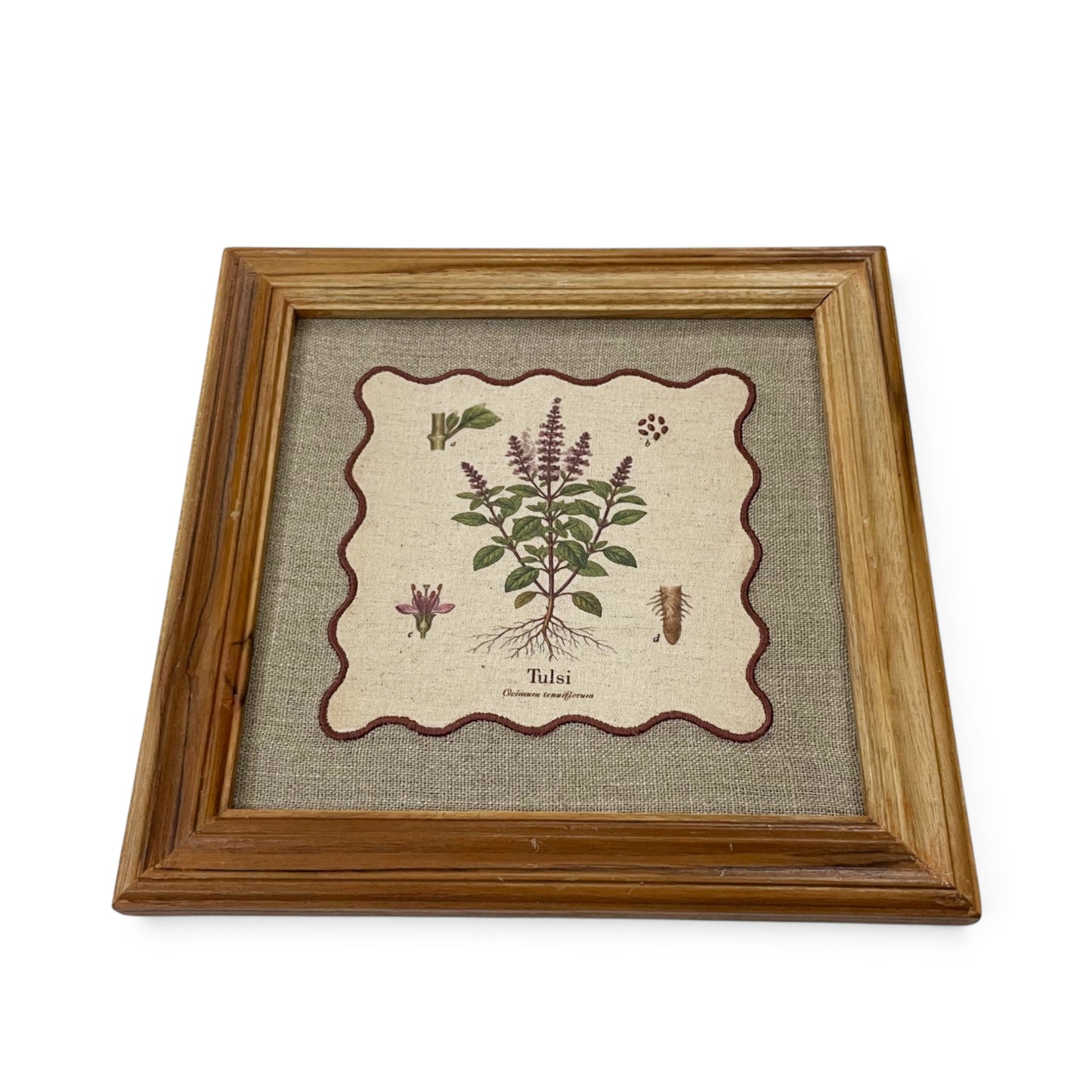 BOTANICAL HERB wall art, Tulsi motif with wooden frame, 12X12 inches