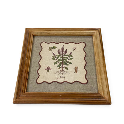 BOTANICAL HERB wall art, Tulsi motif with wooden frame, 12X12 inches