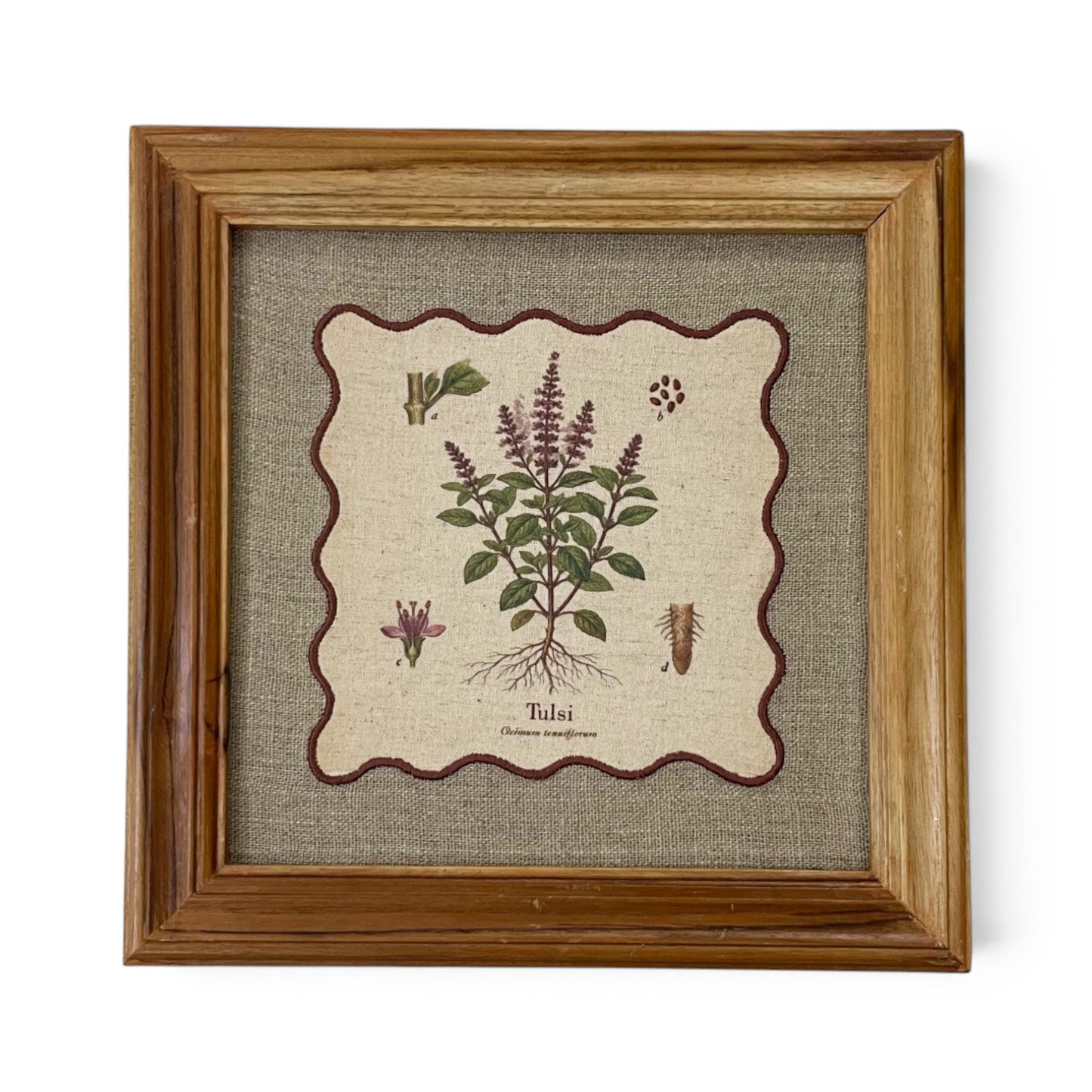 BOTANICAL HERB wall art, Tulsi motif with wooden frame, 12X12 inches