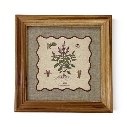 BOTANICAL HERB wall art, Tulsi motif with wooden frame, 12X12 inches