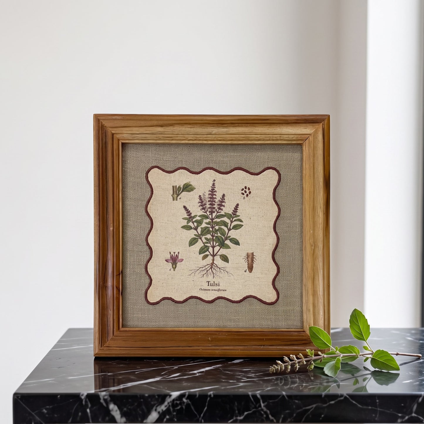 BOTANICAL HERB wall art, Tulsi motif with wooden frame, 12X12 inches