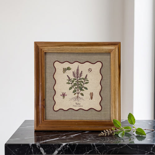 BOTANICAL HERB wall art, Tulsi motif with wooden frame, 12X12 inches