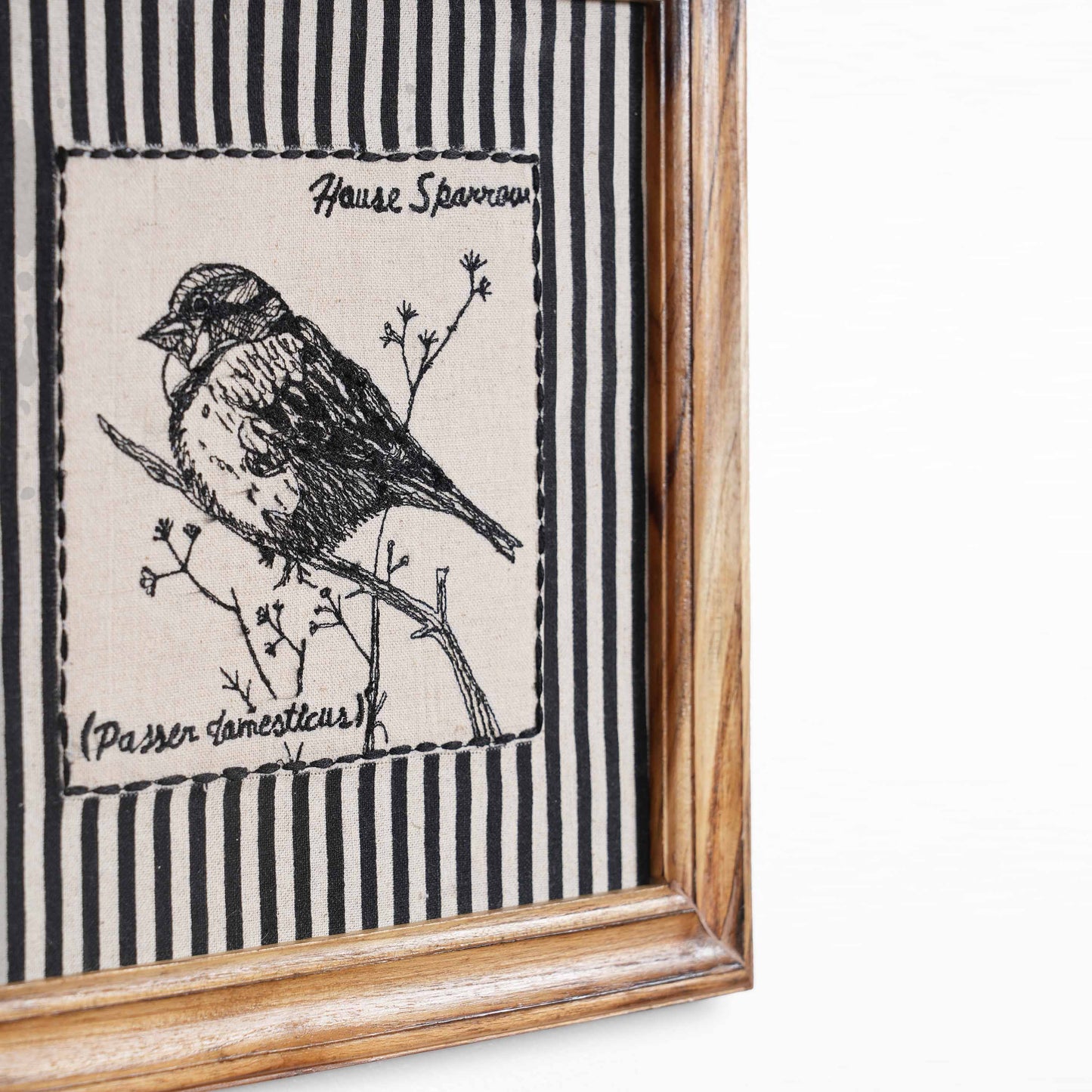 BOTANICAL - HOUSE SPARROW wall art with teak wooden frame, 12X12 inches